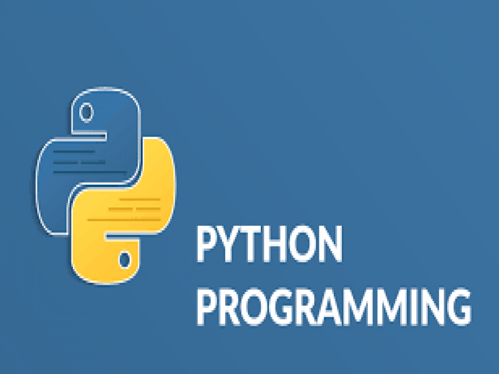 What Makes Python the Top Choice for Programmers